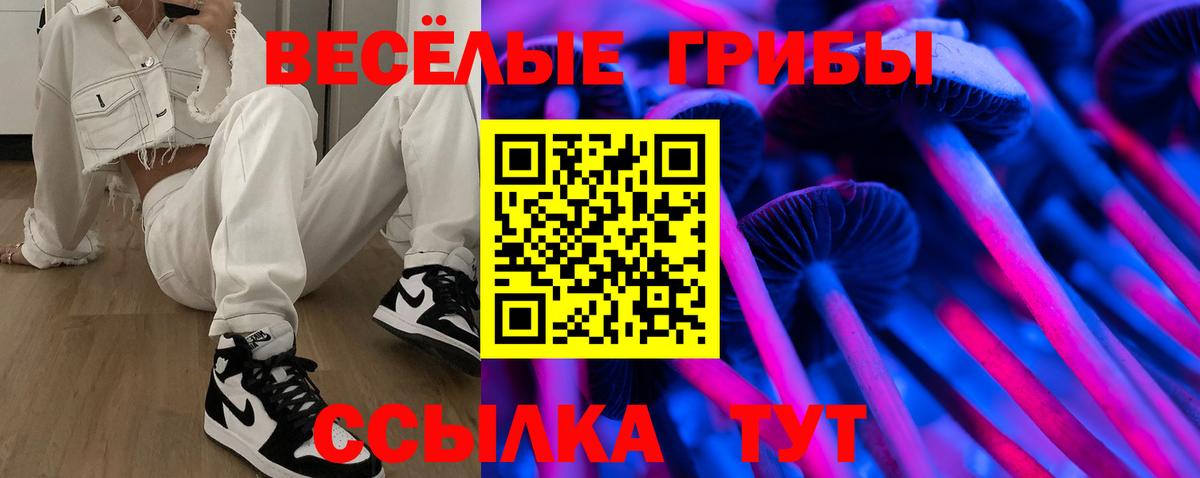 Электросталь  Галлюциногенные грибы мухоморы  Вход с VPN 